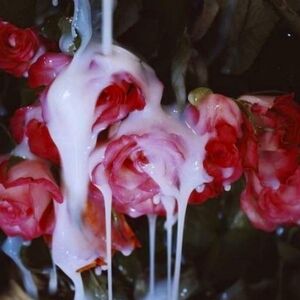 Meet your Posher, Aniyah